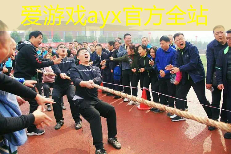碳铝和碳素哪个网球拍好