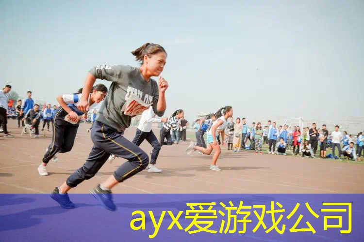 室内乒乓球台罩
