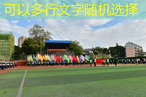 乒乓球台改成了什么颜色