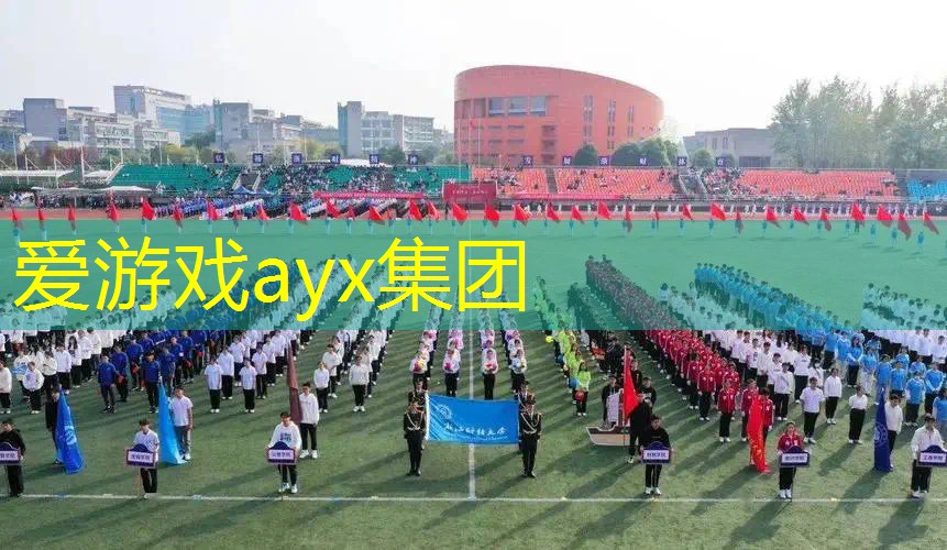 体育器材装篮球筐子