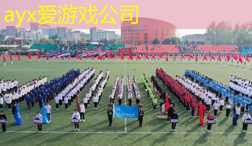 网球拍内部参数怎么看型号
