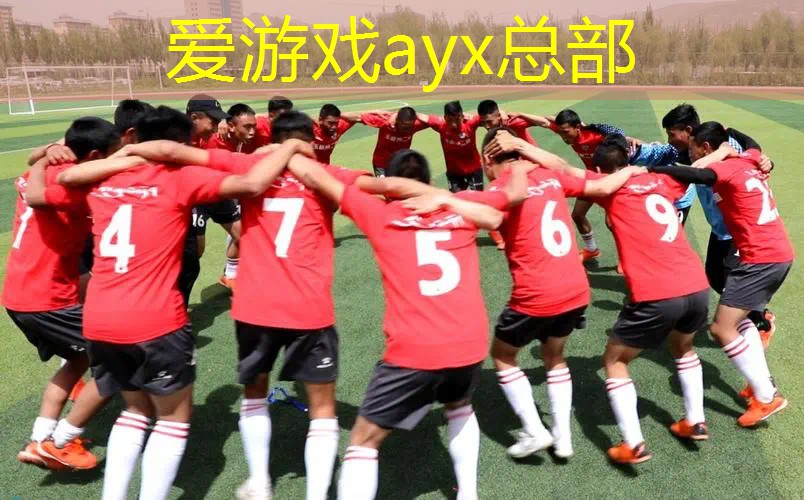 网球拍单向疲劳试验机价格