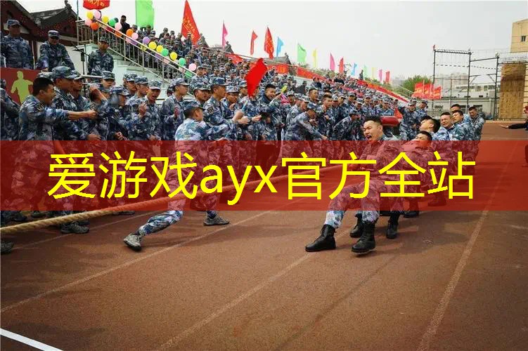 百宝力网球拍117284