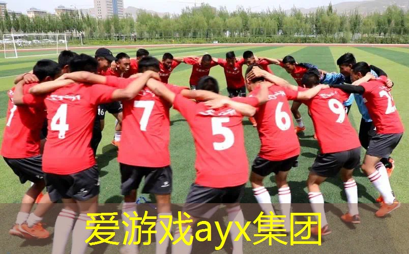 网球拍有哪种材质好用的
