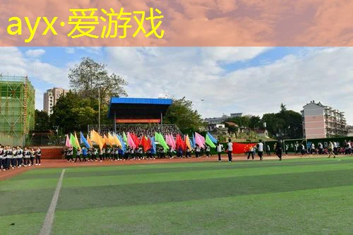费德勒柏金网球拍