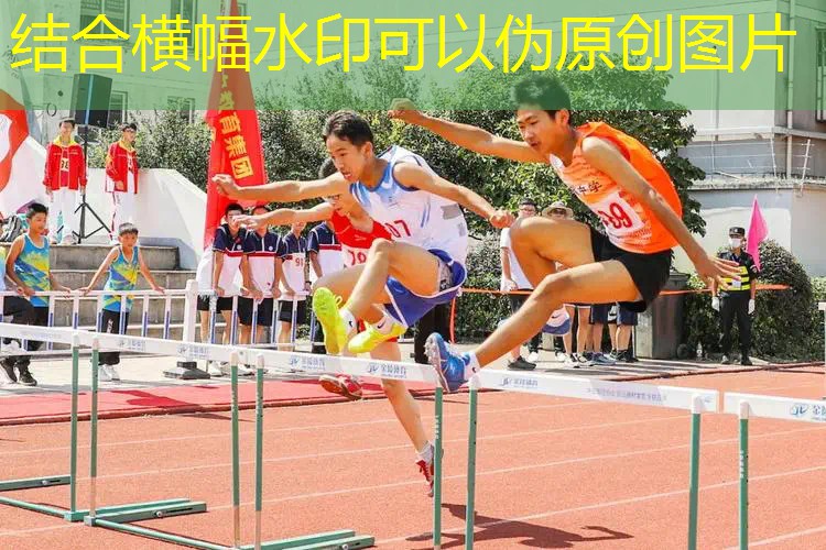 儿童乐园的新宠！蜜蜂儿童滑梯让孩子畅游童年